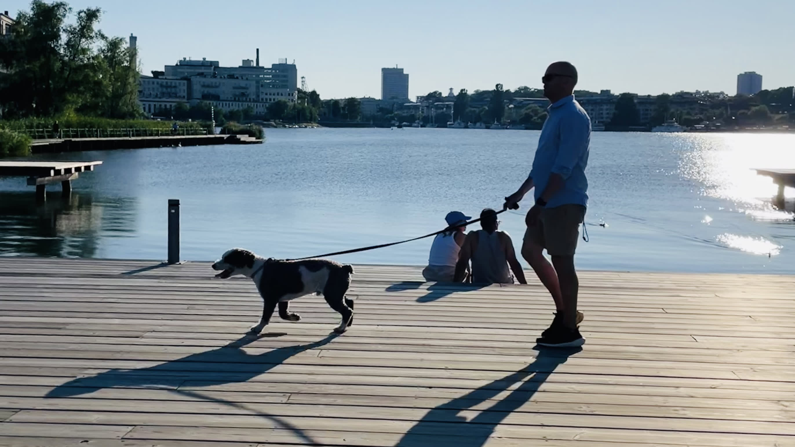 Man promenerar med hund på brygga i stad