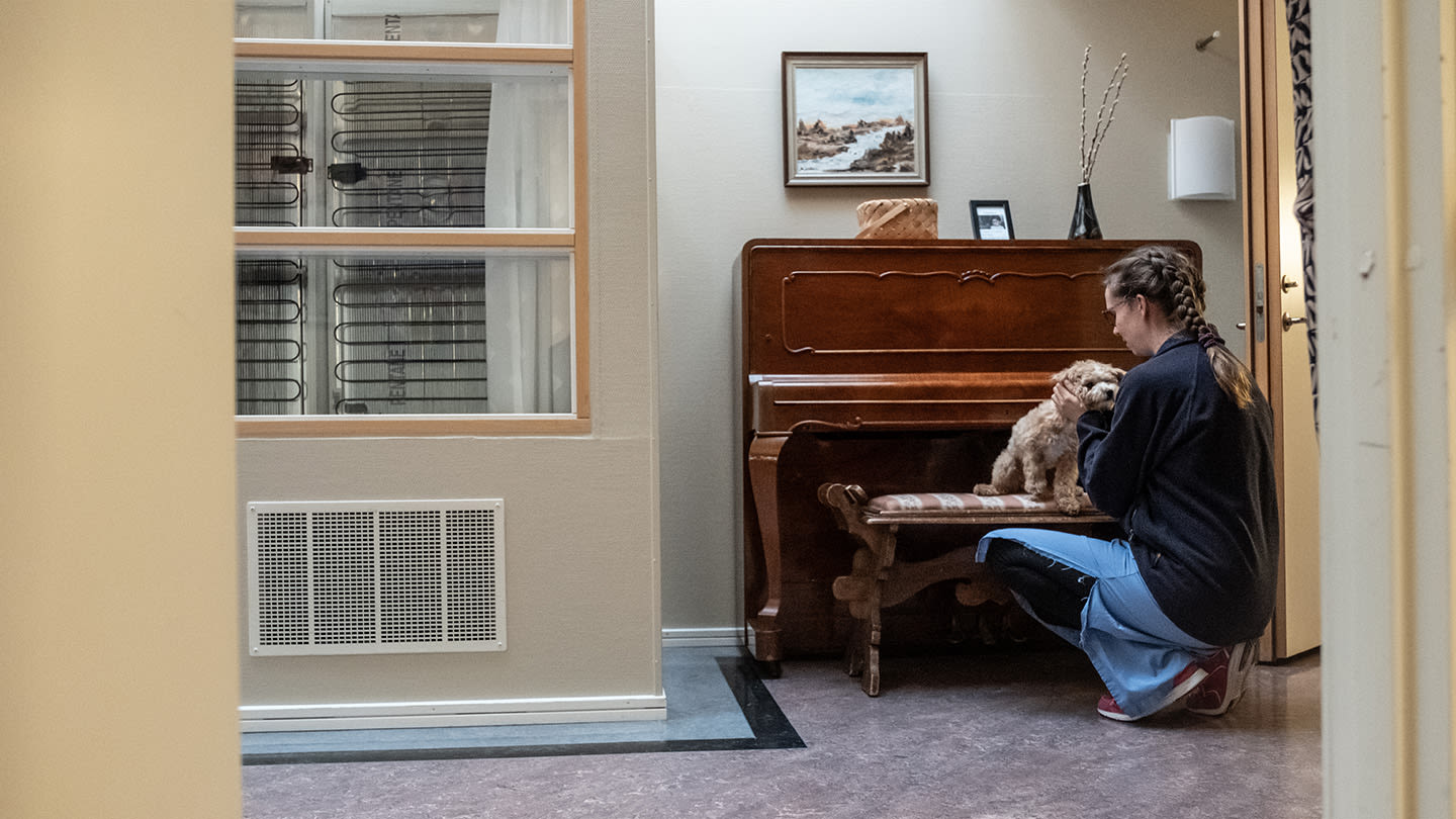 Vårdpersonal klappar vårdhund